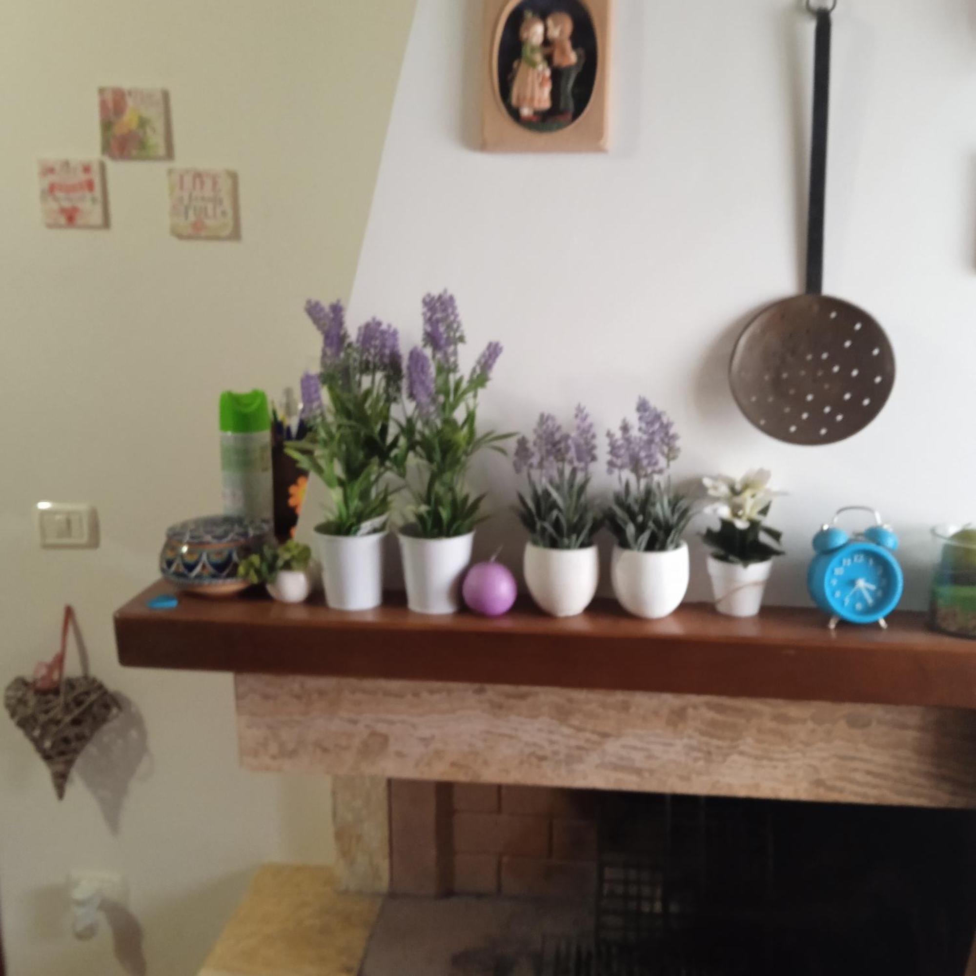 La Mia Acera Apartman Kültér fotó